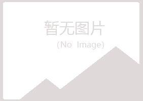 盐田区易梦能源有限公司